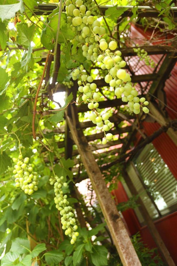 Хостел Grapehouse Koenji Токио Экстерьер фото